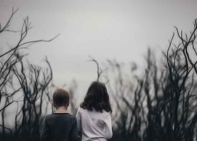 官方正版授权软件的器测压文章